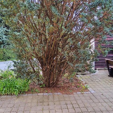 Amazing Apartment In Bad Schandau-Kleing, Kleingiesshubel Εξωτερικό φωτογραφία